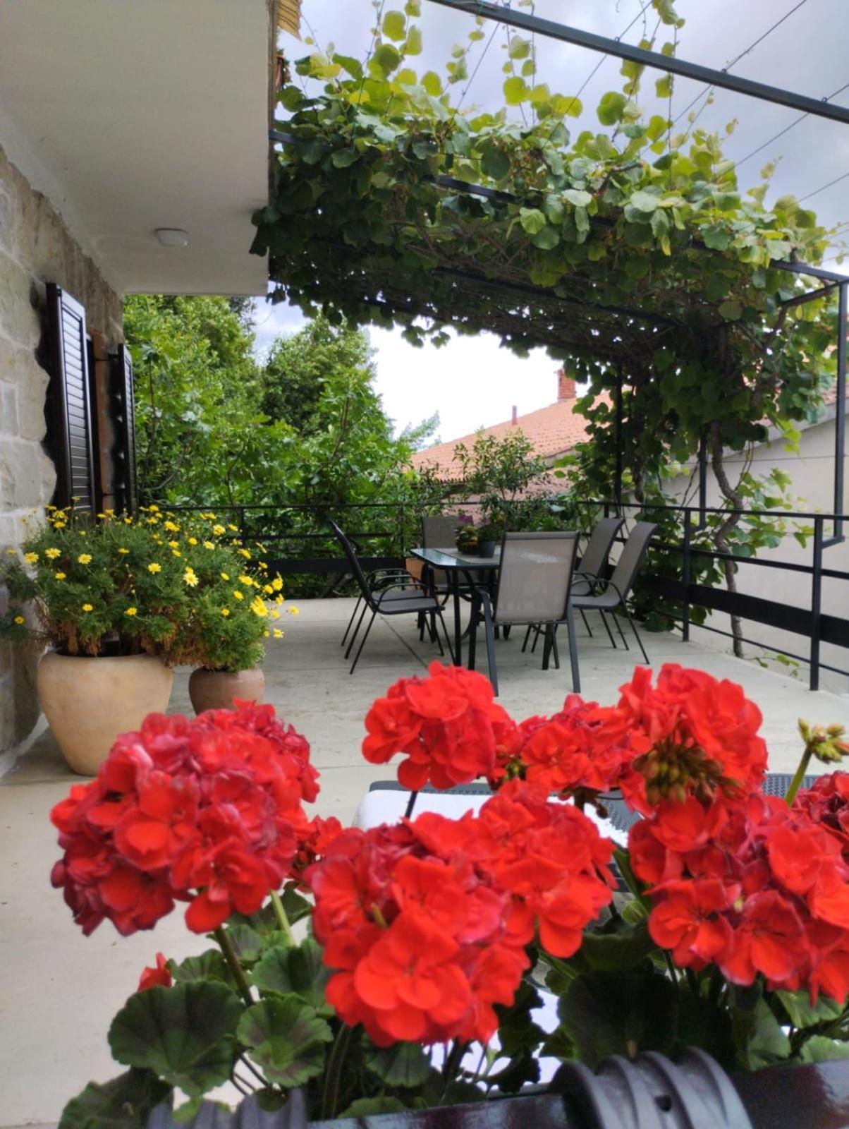 Nonna Laura Adriatic Dream Apartment With Sea View Rabac Exterior foto